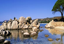 包含曼联主帅放话：亚冠次回合必胜北京国安，萨巴伦卡冷笑回应的词条